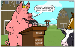 The pig and its promises